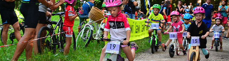 HP foto